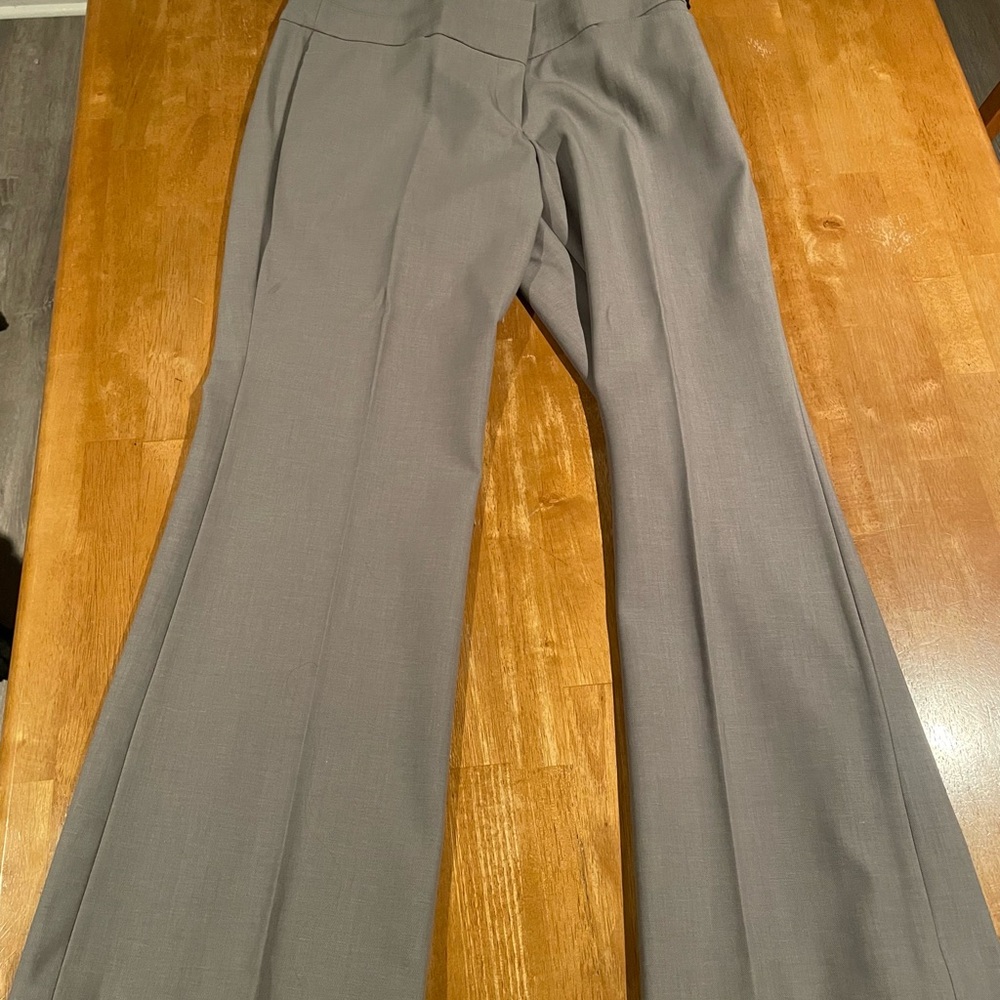 Express Dress Pants